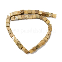 Natural Huanglong Jade Beads Strands&nbsp;G-B155-C02-8x8mm