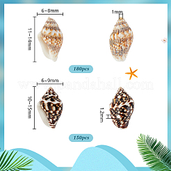 330Pcs 2 Styles Natural Shell Beads&nbsp;BSHE-PH0001-39