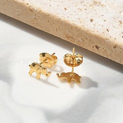 304 Stainless Steel Stud Earrings for Women&nbsp;LS-STAS-Z117-15G-03
