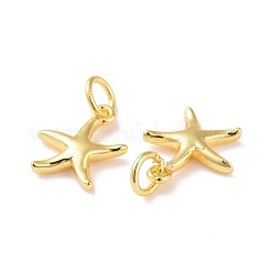 Brass Charms&nbsp;KK-G418-22G