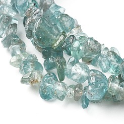 Natural Apatite Beads Strands&nbsp;X-G-F666-01B-01