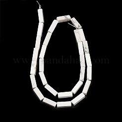 Synthetic Howlite Beads Strands&nbsp;G-K340-D06-01