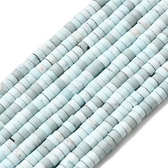 Dyed Synthetic Turquoise Beads Strands&nbsp;G-Z089-A04-C