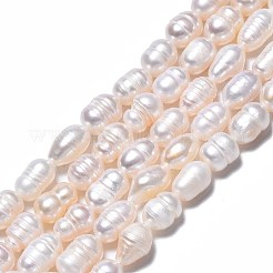 Natural Cultured Freshwater Pearl Beads Strands&nbsp;X-PEAR-N012-07A