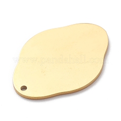 304 Stainless Steel Pendant&nbsp;STAS-Y006-07G