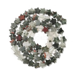 Natural Bloodstone Beads Strands&nbsp;G-H087-C05-01