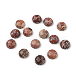 Natural Leopard Skin Cabochons&nbsp;X-G-LS12x5