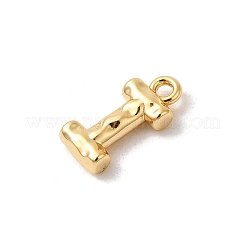 Brass Charms&nbsp;KK-P340-01G-I
