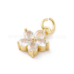 Brass Micro Pave Cubic Zirconia Charms&nbsp;KK-S510-13G