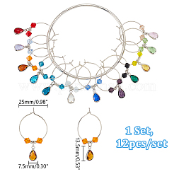 12Pcs Wine Glass Charms Sets&nbsp;AJEW-GA00010