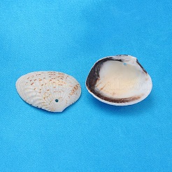 Natural Shell Beads&nbsp;LS-PTS022Y
