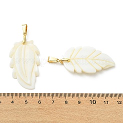 Natural Freshwater Shell Carved Pendants&nbsp;PALLOY-JF05384