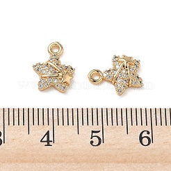 Brass Micro Pave Clear Cubic Zirconia Charms&nbsp;KK-P355-06G