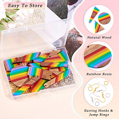 Resin & Walnut Pendants DIY Dangle Earrings Making Kits&nbsp;DIY-TA0011-03A