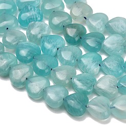 Natural Amazonite Beads Strands&nbsp;GG-D001-B01