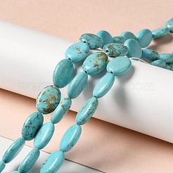 Natural Howlite Beads Strands&nbsp;G-C025-12A