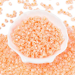 Glass Seed Beads&nbsp;SEED-T008-01C