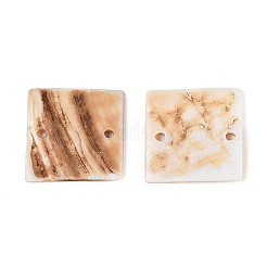Natural Freshwater Shell Connector Charms&nbsp;SHEL-N038-14