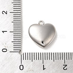 304 Stainless Steel Charms&nbsp;STAS-L022-239P