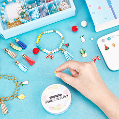 279Pieces DIY Fruit Themed Bracelets Kits&nbsp;DIY-SC0015-44