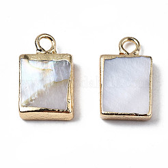 Natural Freshwater Shell Charms&nbsp;SHEL-N026-147