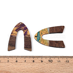 Opaque Resin & Walnut Wood Pendants&nbsp;RESI-T060-46M