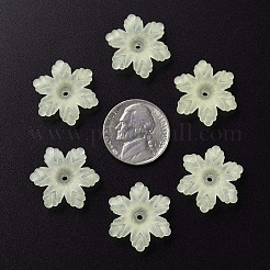 Transparent Acrylic Beads&nbsp;MACR-S373-117-D03