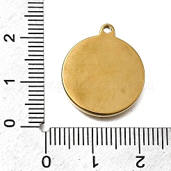 304 Stainless Steel Pendants&nbsp;STAS-Z163-12G