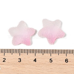 Imitation Candy Food Style Resin Cabochons&nbsp;RESI-R461-02K