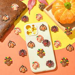 40Pcs 4 Styles Thanksgiving Resin Cabochons&nbsp;RESI-SC0036-39
