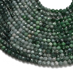 Gradient Color Natural Jadeite Jade Beads Strands&nbsp;GG-CBA4399-A02-02A