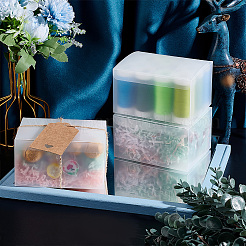 Removable Transparent Plastic Box&nbsp;CON-WH0085-46