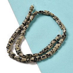 Natural Dalmatian Jasper Beads Strands&nbsp;G-G085-A13-01