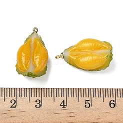 Fruit Opaque Resin Pendants&nbsp;RESI-D312-07E-G