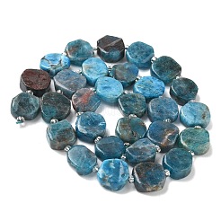 Natural Apatite Beads Strands&nbsp;G-I394-D20
