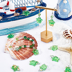 30Pcs Transparent Resin Pendants&nbsp;RESI-SC0002-72
