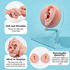 2Pcs 2 Styles Silicone Ear Flexible Model Body Part Earring Displays&nbsp;AJEW-OC0014-27