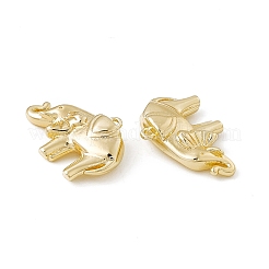 Brass Pendants&nbsp;KK-K271-14G