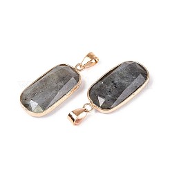 Natural Labradorite Pendants&nbsp;G-N349-03C-G