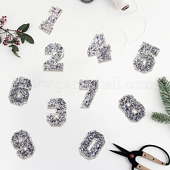 10Pcs Glitter Iron on/Sew On Patches&nbsp;PATC-GF0001-78B