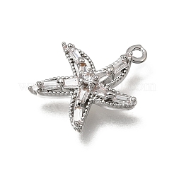 Brass Micro Pave Clear Cubic Zirconia Charms&nbsp;KK-K427-25P