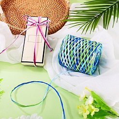 Raffia Ribbon&nbsp;OCOR-TA0004-21C