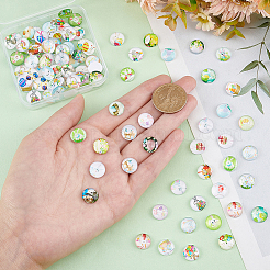 1 Bag Glass Cabochons&nbsp;GGLA-PH0001-42A