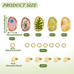 DIY 5 Pairs Earring Making Kits&nbsp;DIY-TA0010-94