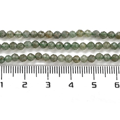 Natural Green Apatite Beads Strands&nbsp;G-G105-A02-02
