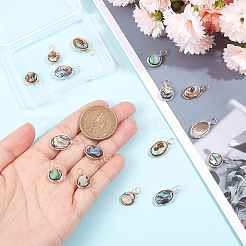16Pcs 4 Styles Natural Abalone Shell/Paua Shell Pendants&nbsp;SHEL-GA0001-11