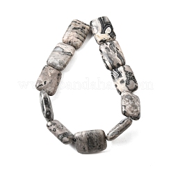 Natural Map Stone Beads Strands&nbsp;G-S386-A13