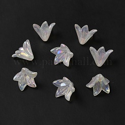 Transparent Acrylic Bead Caps&nbsp;OACR-H016-03