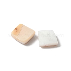 Natural White Shell & Pink Shell Cabochons&nbsp;SSHEL-Z003-01