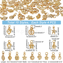 60Pcs 15 Style Electroplated Alloy Charms&nbsp;FIND-PH0006-30